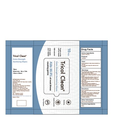 10pcs Extra Strength Sanitizing Wipes